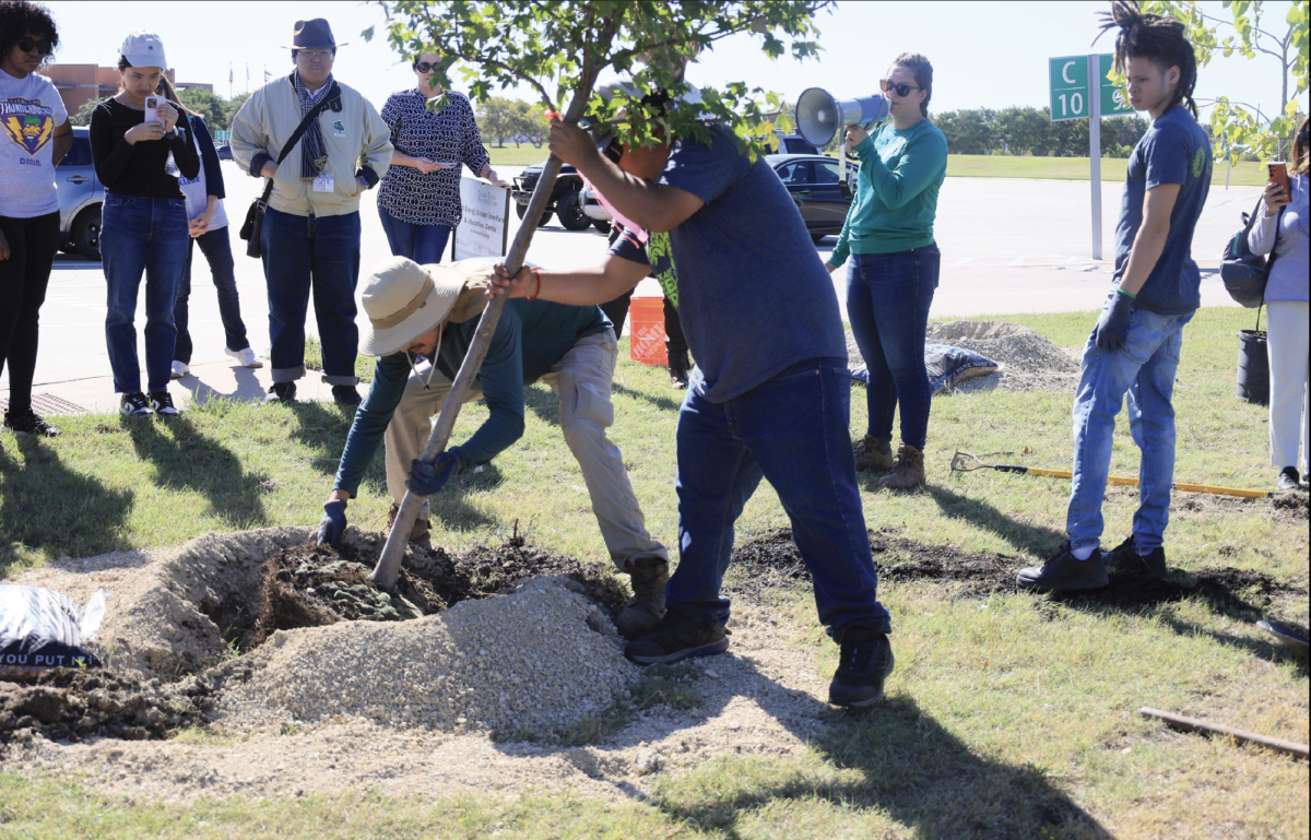 Students watch a tree planting demonstration from Texas Tree Foundation urban foresters during Arbor day.